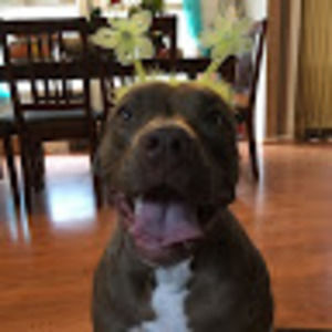 Meet your Posher, Brittany